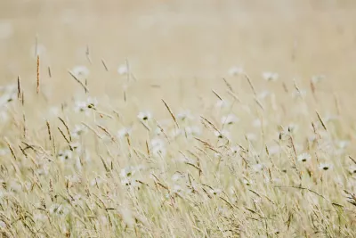 Интересное и познавательное. Вы проспали все уроки географии, если наберете меньше 7 баллов — ТЕСТ изображение №2