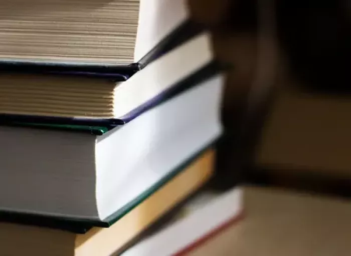 Советы. Прошедши порядочное расстояние, увидели, точно, кузницу. изображение №2